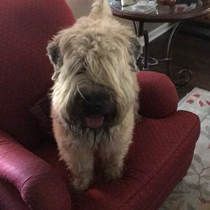 Meet your Posher, Alex